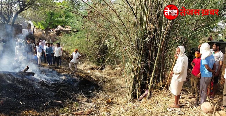 Fire in five houses scorches many animals