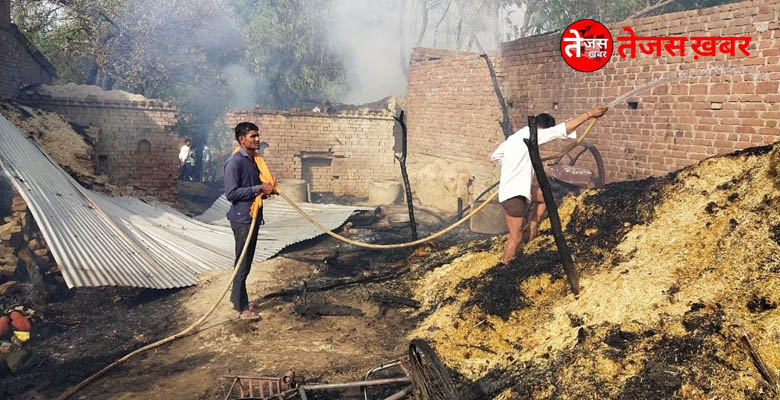 Fire in five houses scorches many animals