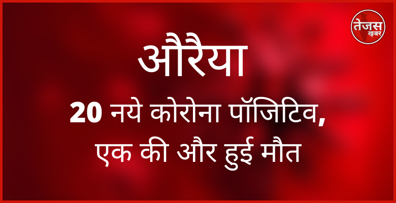 रविवार को आई जांच रिपोर्ट में भूमि संरक्षण विभाग के 3 कर्मचारियों की रिपोर्ट भी मिली पॉजिटिव