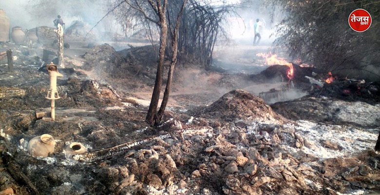 आग लगने से दो बकरियों मरी एक भैस भी झुलसी