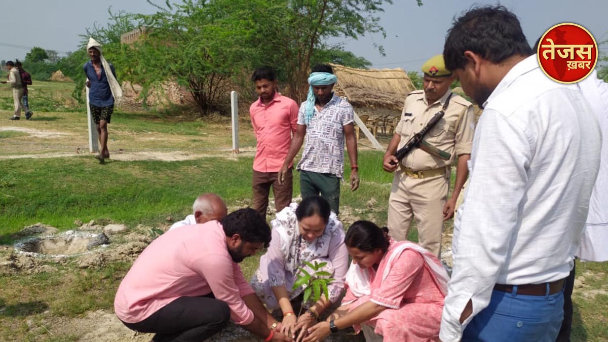 ग्राम पंचायत हरचंदपुर मे किया गया बृहद पौधारोपण 