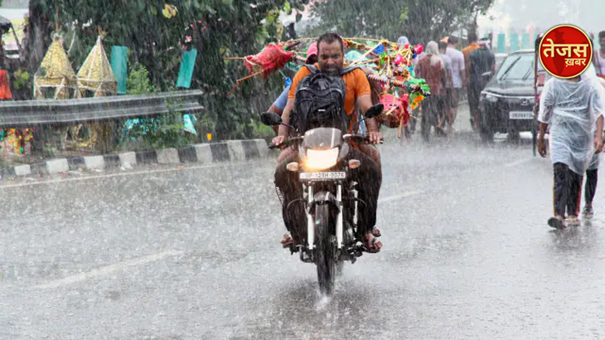 झमाझम बारिश से उमस से राहत,खेतों में चहल पहल