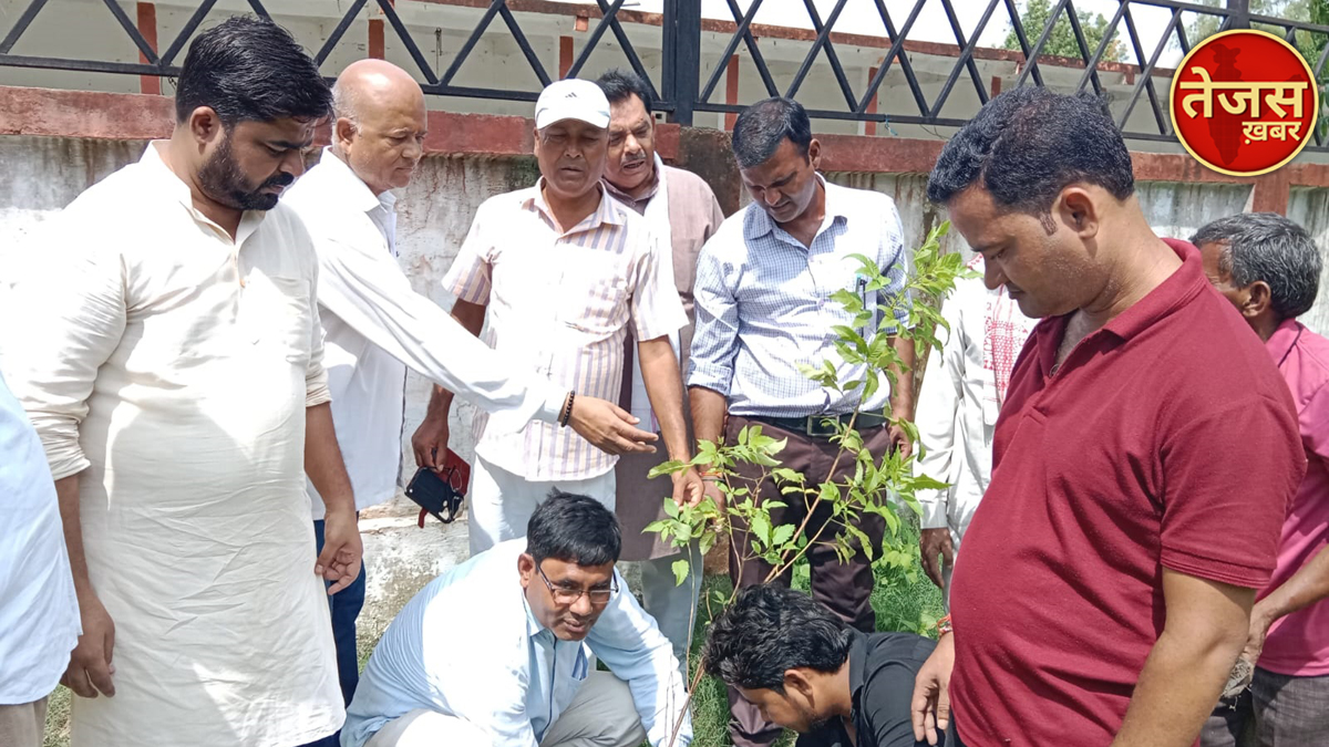 कांग्रेसियों ने श्रमदान कर मनाई राजीव गांधी की जयंती, पौधारोपण भी किया