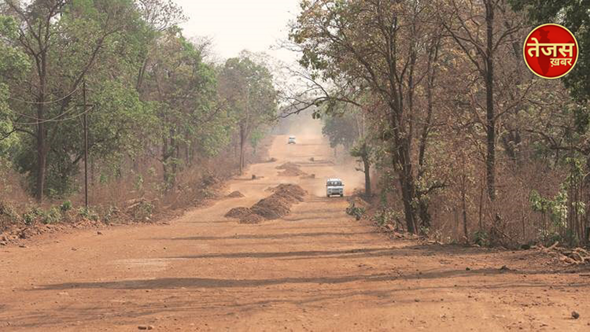 कांकेर के जंगल में छोड़े गए 52 चीतल