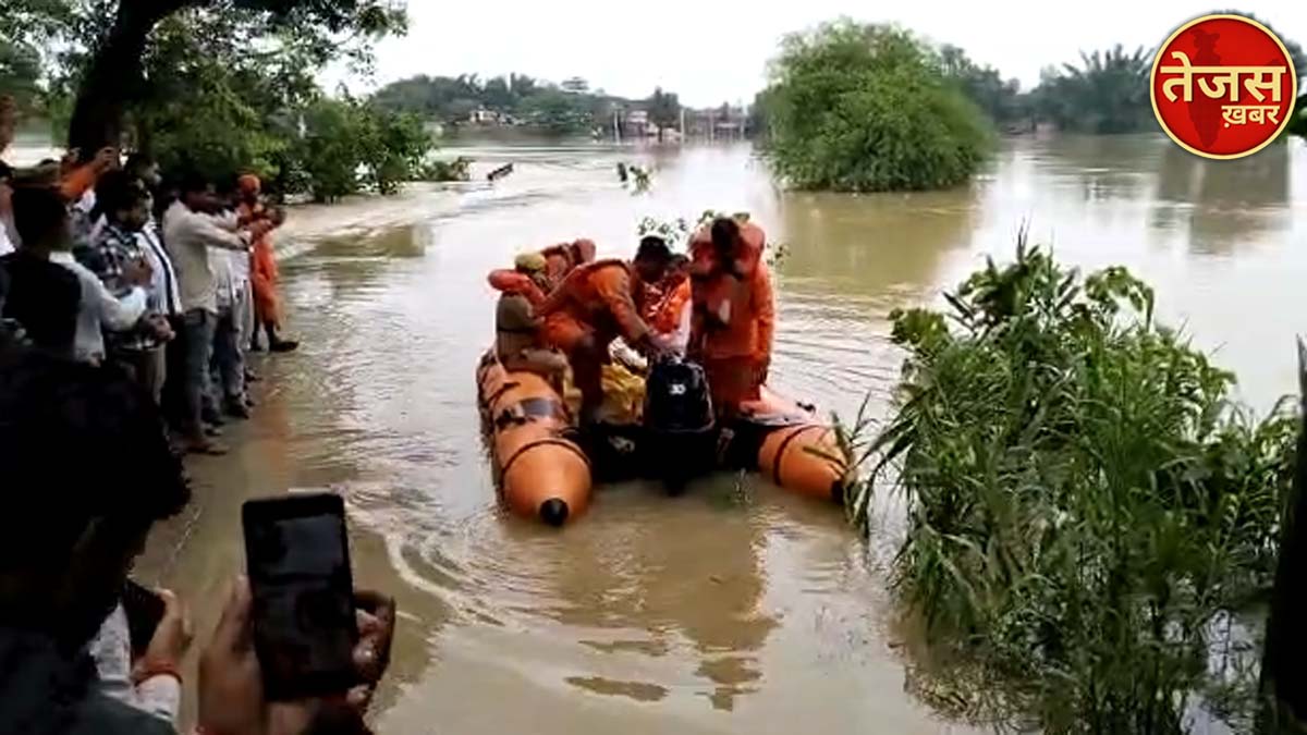 बाढ़ के पानी में फंसे युवक ने जान बचाने के लिए पेड़ का लिया सहारा