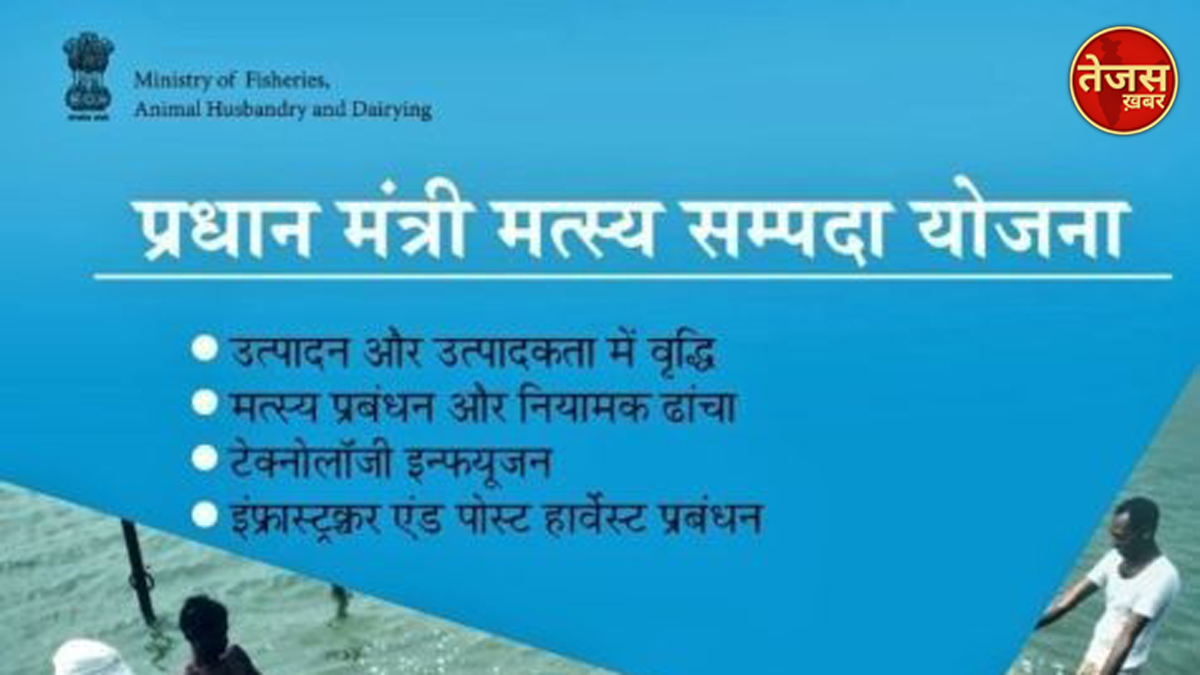 प्रधानमंत्री मत्स्य संपदा योजना में ऑनलाइन आवेदनों में  अपूर्ण आवेदन 10 नवंबर तक कर ले पूर्ण