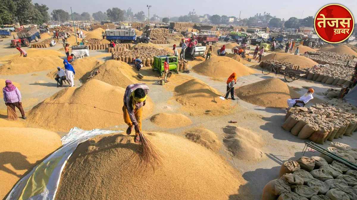 सरकारी क्रय केंद्र पर धान बेचने के लिए किसान भाई जल्द कराएं रजिस्ट्रेशन - उपजिलाधिकारी