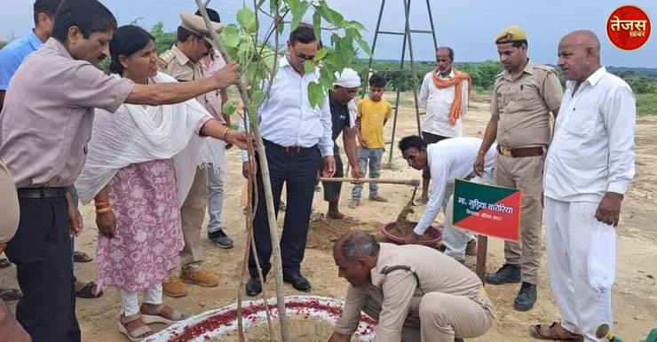 जिले में वन महोत्सव का सदर विधायिका ने वृक्षारोपण कर किया शुभारम्भ